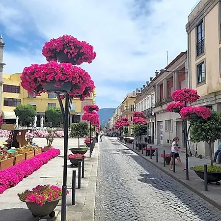 Turisticos